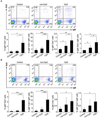 CpG Oligodeoxynucleotides Modulate Innate and Adaptive Functions of IgM+ B Cells in Rainbow Trout